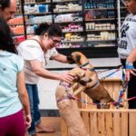 1==gYkpDOldjNhZmOyJmLt92YuEWayNWdlRWYyFmdpBXYjFGQhlmcjVXZkFmchZXawF2YhpDO1QzM4IjN2gjOnVGcq5ydvxWM0IDZyITN2ITOmdTN3gjNzEGZzQjZ4ITMwUmNkdTYyYkMlcTYyYkMlYjM1kjMGJTJ2ITN4kTNzcDNx8VL1ETLf9VLwITLfpjM