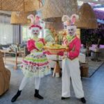 3bc5411d87054082e965f7eef15a35f5_medium