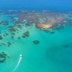 17e769ee63abf4363cdeea40f9181890_medium